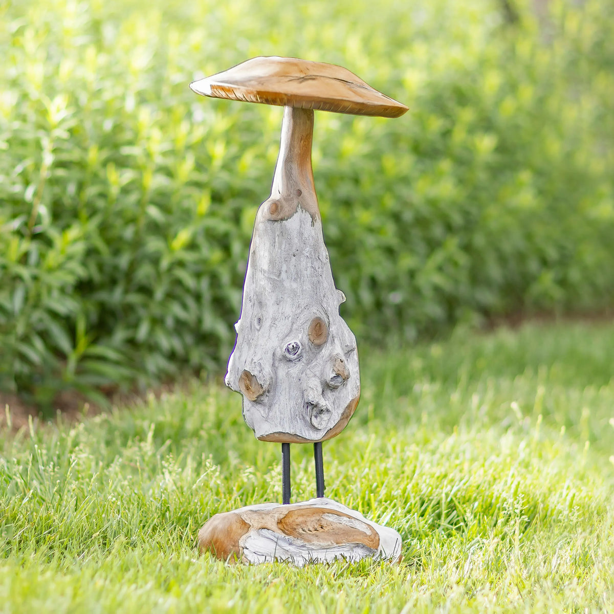 Teak Mushroom Garden Street
