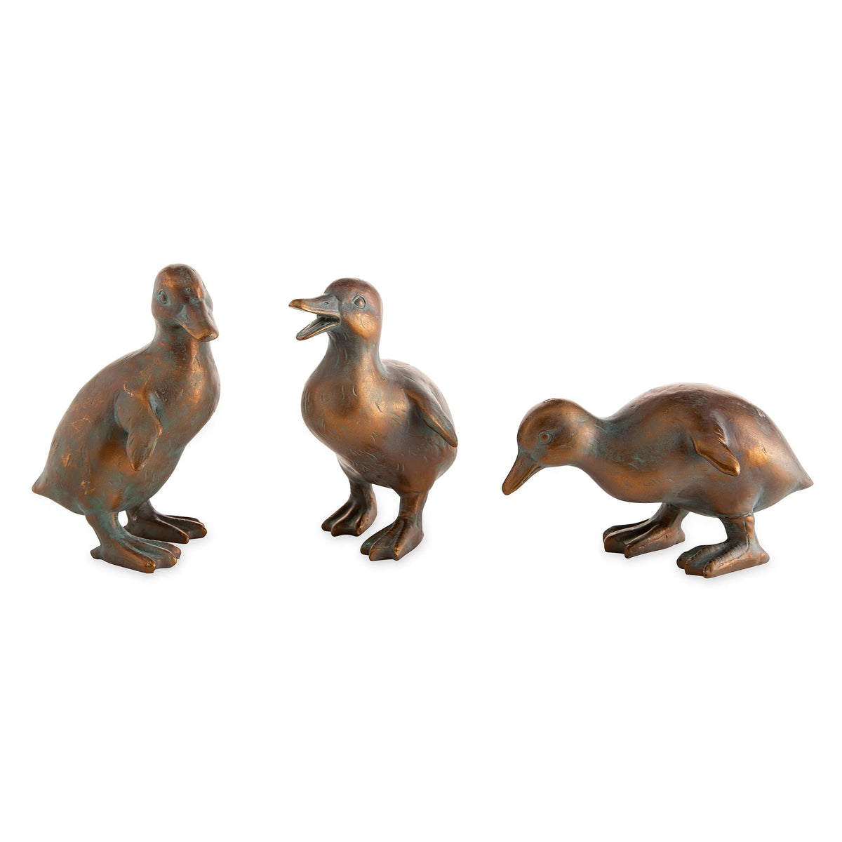 Duck Family with Mother and Three Babies