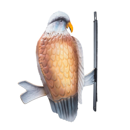 Eagle On Branch